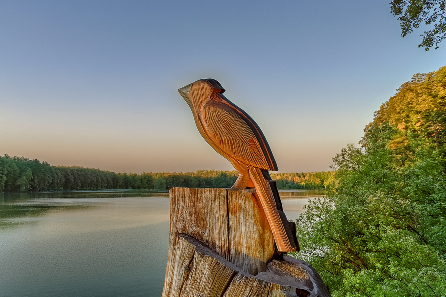 Naturaleza de Madera