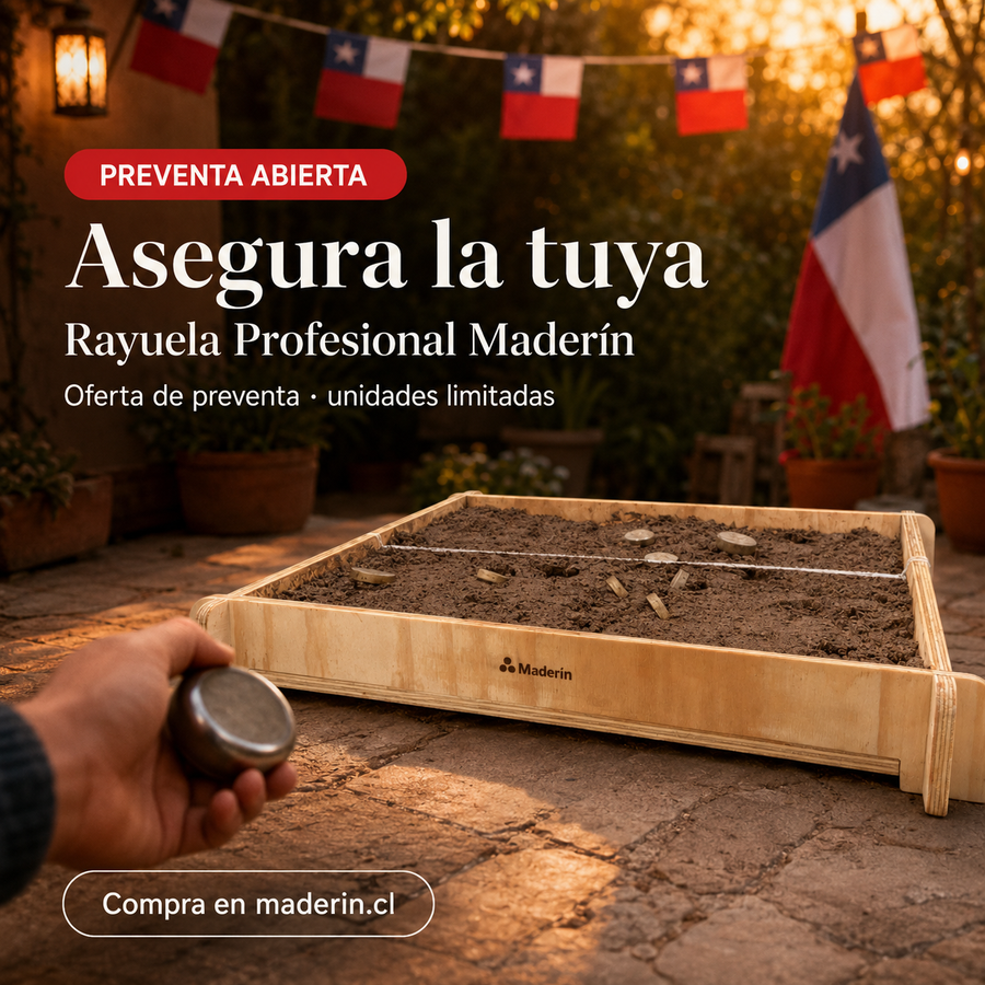 Rayuela profesional (80x80x17cm)